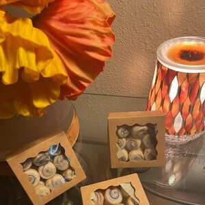 Hand poured Cinnamon Roll Wax Melts